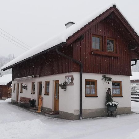 Apartment Natur Herz Haus im Ennstal Dış mekan fotoğraf