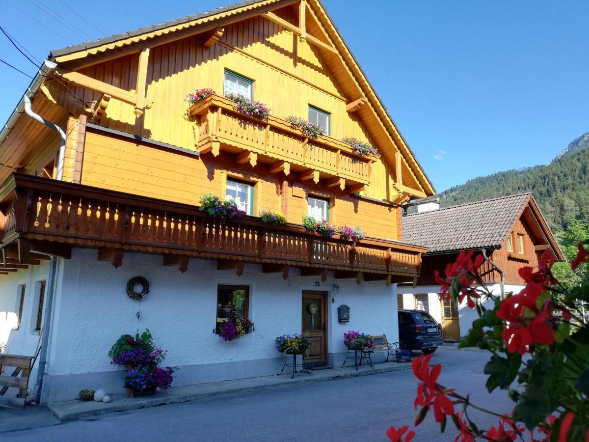 Apartment Natur Herz Haus im Ennstal Dış mekan fotoğraf