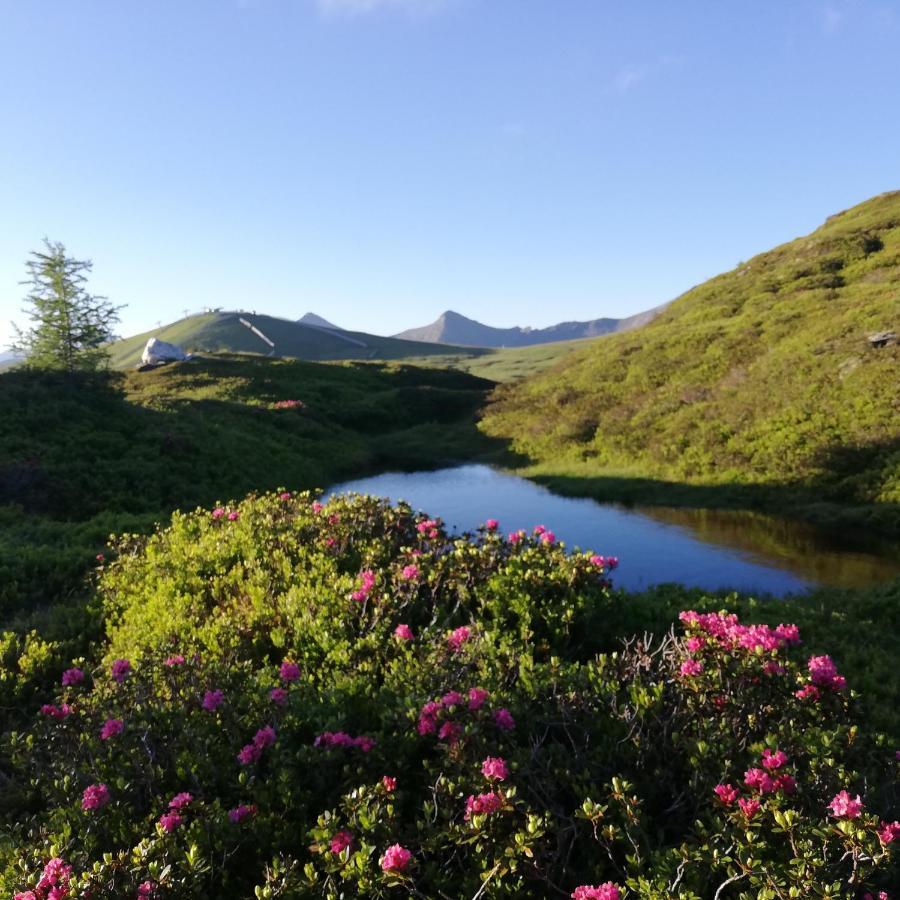 Apartment Natur Herz Haus im Ennstal Dış mekan fotoğraf