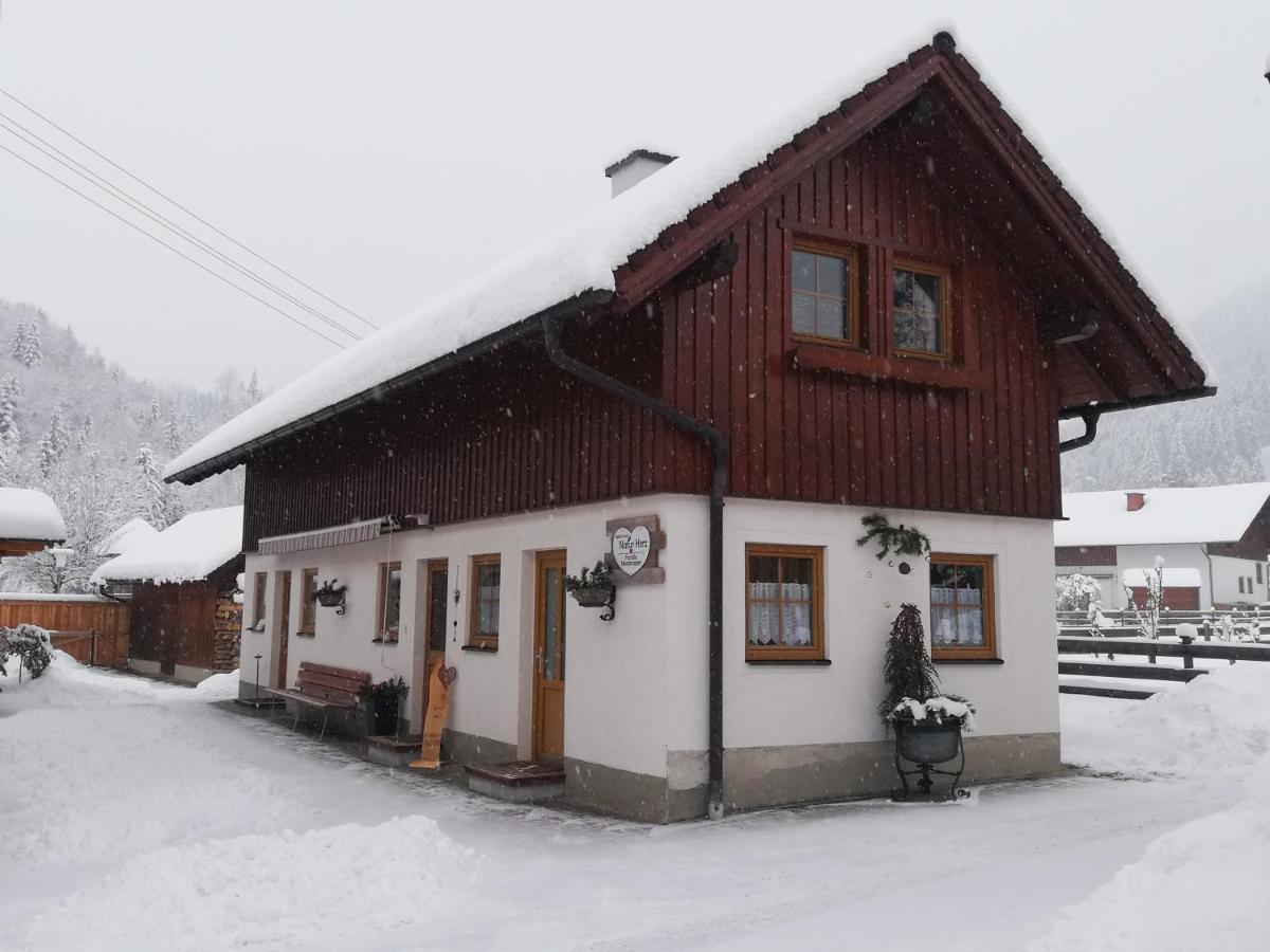 Apartment Natur Herz Haus im Ennstal Dış mekan fotoğraf